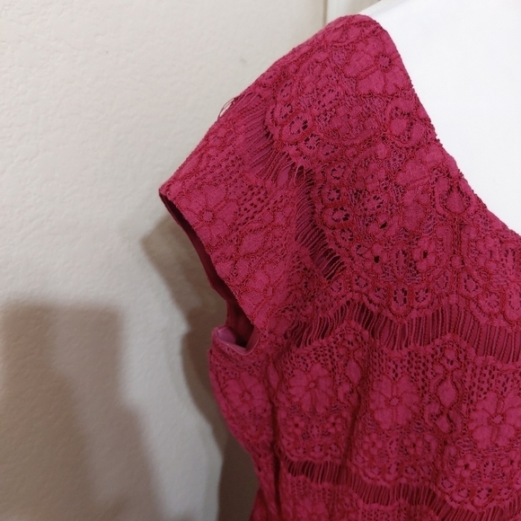 Garnet Hill pink cap sleeve lace dress lined synched waist wedding guest 18 - Picture 5 of 13